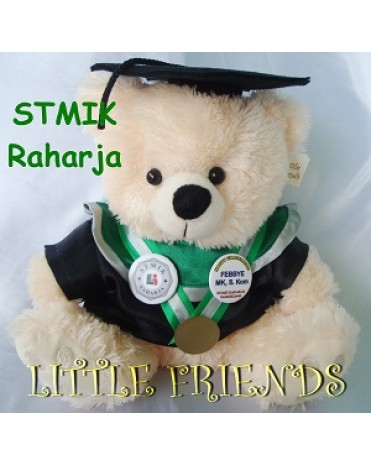 Boneka Wisuda STMIK Raharja (30 cm)